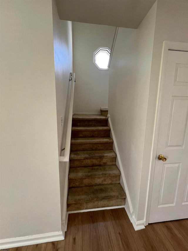 staircase featuring wood-type flooring