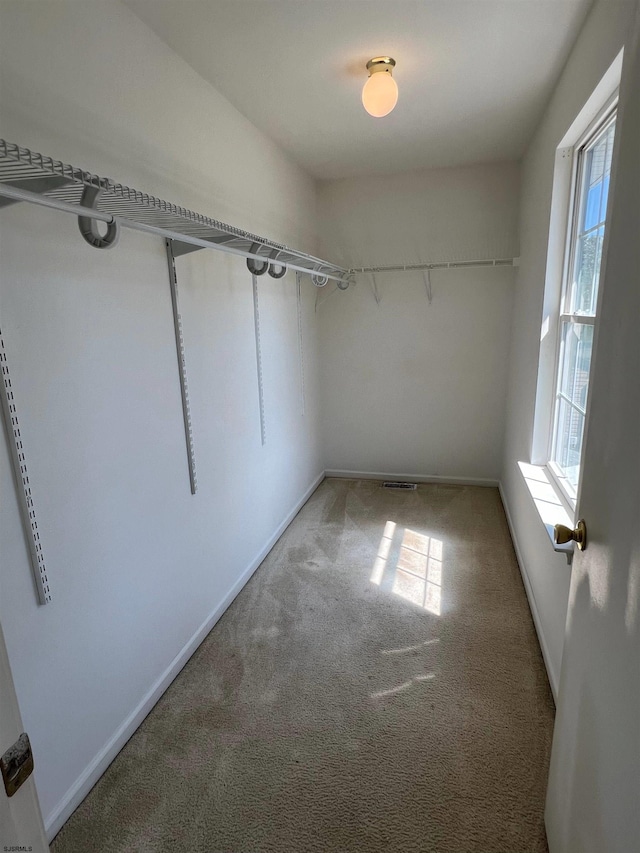 spacious closet with carpet