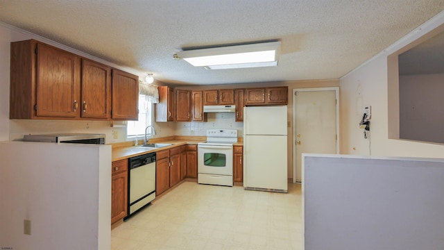 kitchen with sink, white appliances, and a textured ceiling