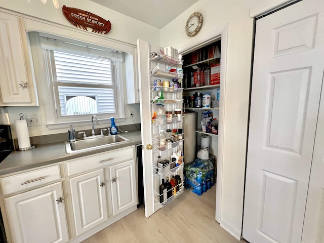 pantry with sink