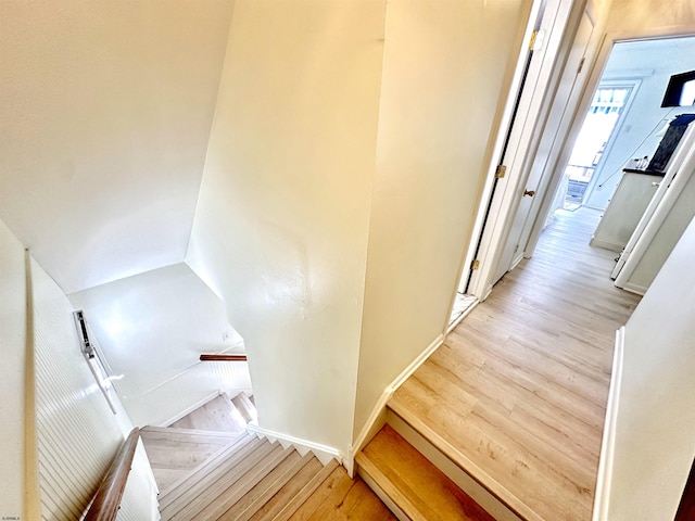 staircase with wood-type flooring