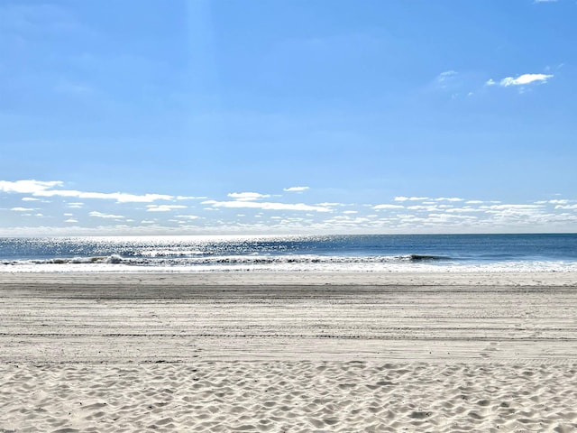 property view of water featuring a beach view