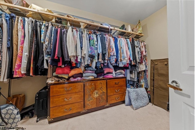 spacious closet featuring carpet floors