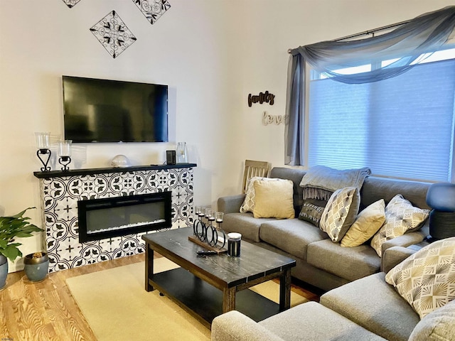 living room with wood-type flooring and a fireplace