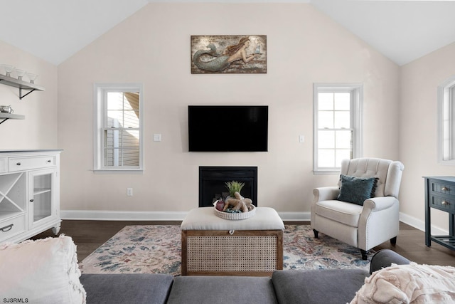 living room featuring lofted ceiling and dark hardwood / wood-style floors