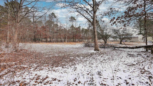 view of snowy yard