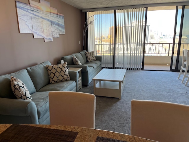 living room with a healthy amount of sunlight and carpet floors