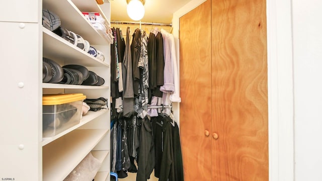 view of walk in closet