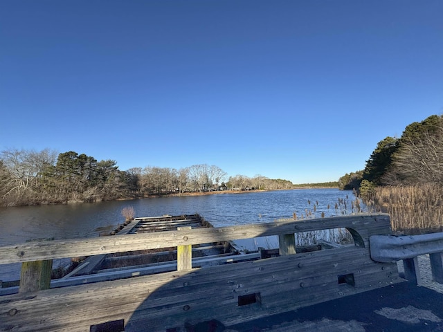 dock area with a water view