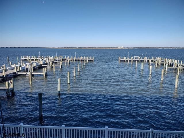 dock area with a water view