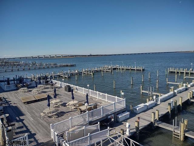 dock area with a water view