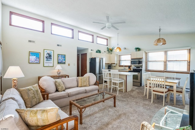 carpeted living room featuring ceiling fan, sink, a textured ceiling, and a high ceiling