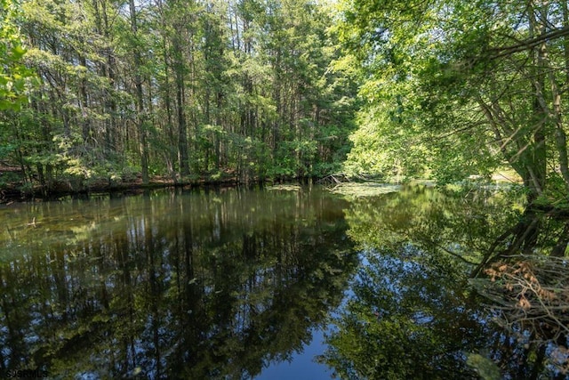 view of landscape featuring a water view