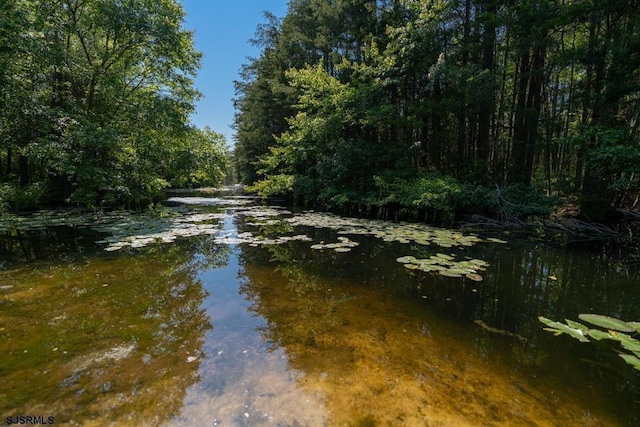 water view