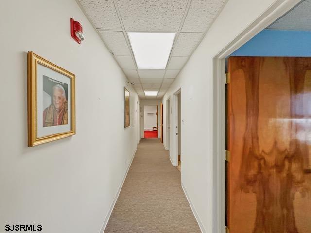 corridor with light colored carpet and a drop ceiling