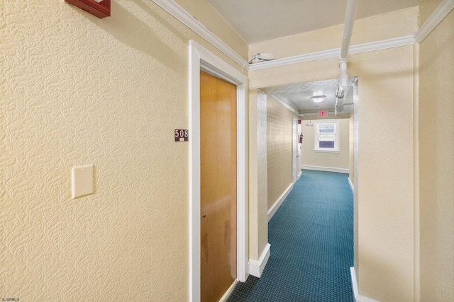 corridor with carpet