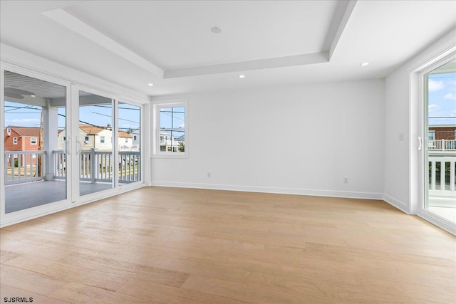 spare room featuring a raised ceiling, light hardwood / wood-style floors, and a wealth of natural light