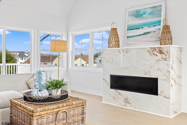 interior space with a high end fireplace, lofted ceiling, and hardwood / wood-style floors