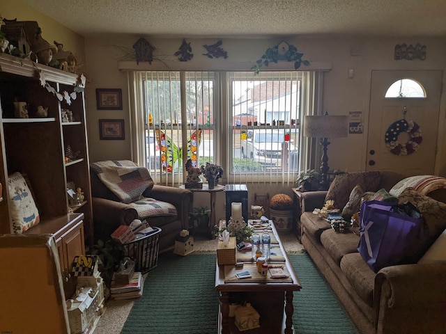 living room with a textured ceiling and carpet floors