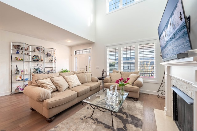 living room with hardwood / wood-style flooring