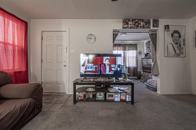 living room with carpet