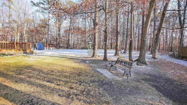 view of yard featuring a deck and a storage unit