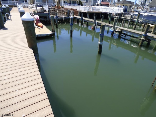 dock area with a water view