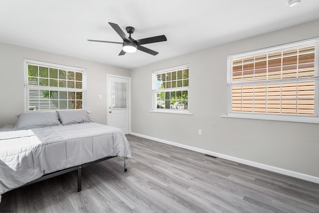 bedroom featuring hardwood / wood-style flooring, ceiling fan, and multiple windows