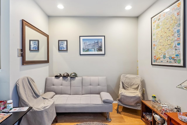 living room with wood-type flooring