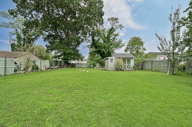 view of yard featuring a storage unit