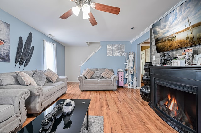 living room featuring ceiling fan, ornamental molding, and light wood-type flooring