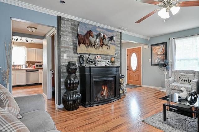 living room with ornamental molding, a healthy amount of sunlight, a fireplace, and light hardwood / wood-style flooring