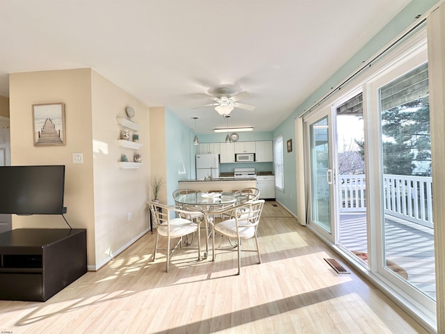 dining room with ceiling fan and light hardwood / wood-style flooring