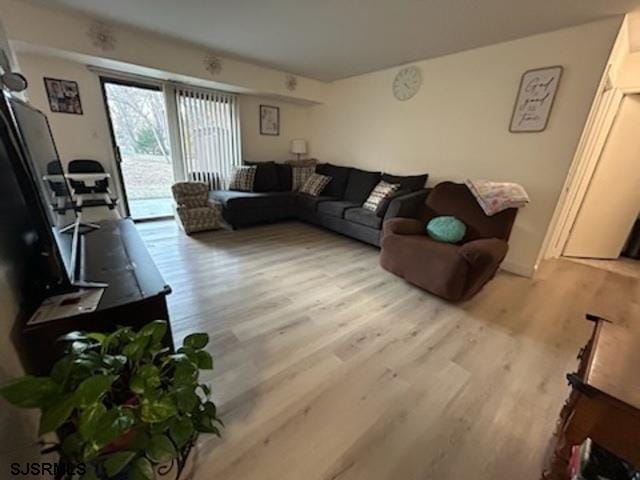 living room featuring light hardwood / wood-style flooring