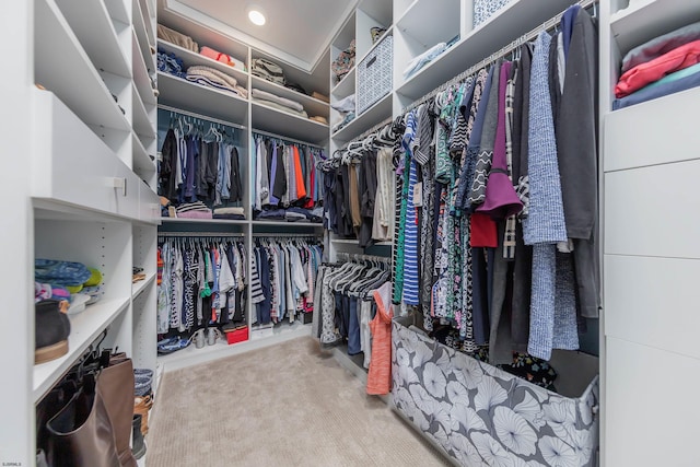 spacious closet with carpet