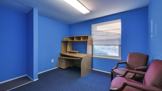 interior space with dark colored carpet