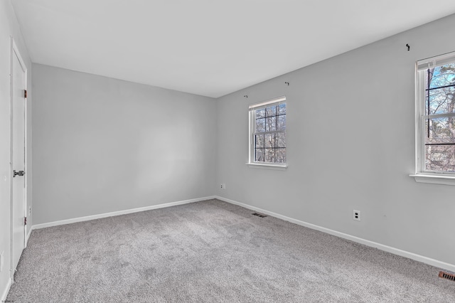 empty room with carpet and a wealth of natural light