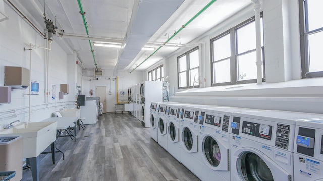 clothes washing area featuring a healthy amount of sunlight, separate washer and dryer, and light hardwood / wood-style flooring