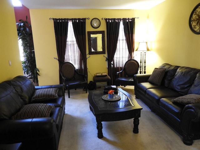 living room featuring carpet floors