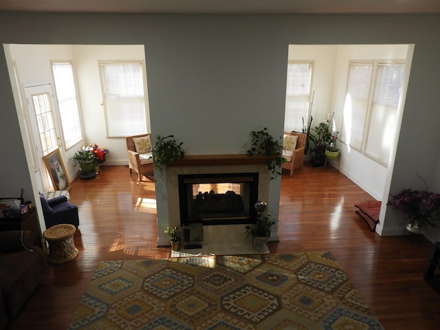 living room featuring a multi sided fireplace and wood-type flooring