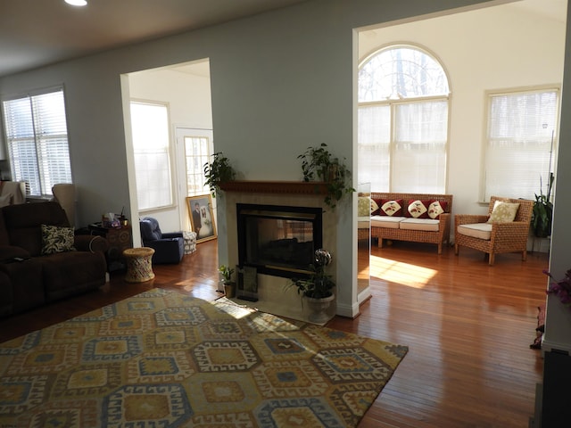 living room featuring hardwood / wood-style floors and a multi sided fireplace