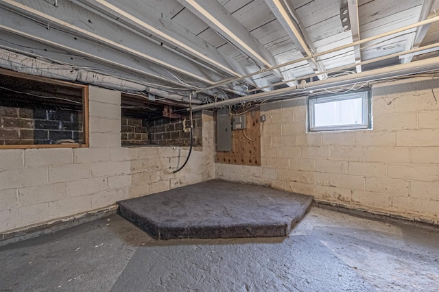 basement with electric panel