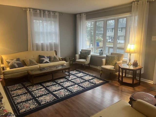 living area featuring wood-type flooring