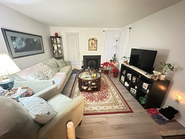 living area with a fireplace and wood finished floors