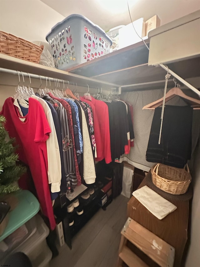 spacious closet featuring wood finished floors