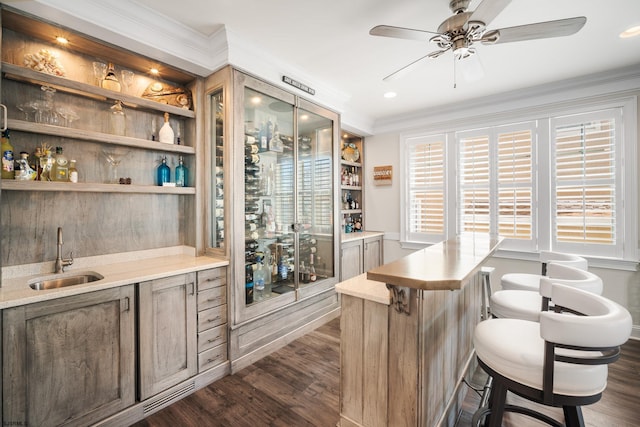 bar featuring crown molding, sink, dark wood-type flooring, and ceiling fan