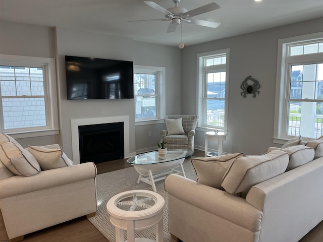 living room with ceiling fan and dark hardwood / wood-style flooring