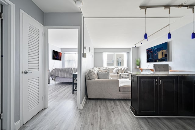 living room featuring light hardwood / wood-style floors and rail lighting