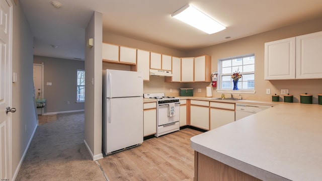 kitchen with sink, white appliances, and light wood-type flooring