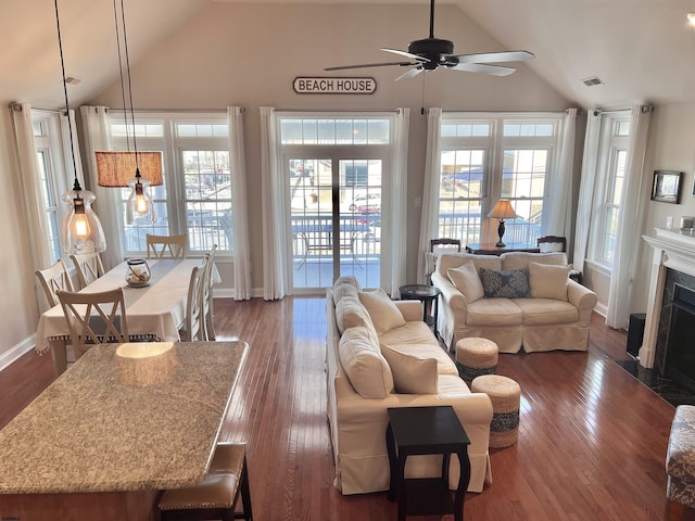 living room with lofted ceiling, dark hardwood / wood-style floors, and a wealth of natural light